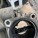 애니카랜드 북대구점 이미지