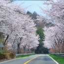 경해여자중학교 | 진주 버터떡 맛집 왜 유행일까 의문이라면 가봐야할 평거동카페 '브런치파티'