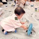 평촌자연과한의원 | 평촌 롯데백화점 문화센터 북극곰의 정류장 완강후기