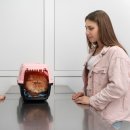 동물심장병원 진심 이미지