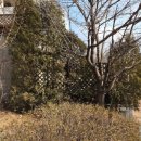 천왕연지타운2단지 이미지