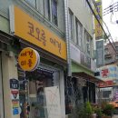 코오롱애견 이미지