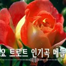 고속도로 트로트 메들리 듣기 좋은 뽕 짝 성인가요 - 트로트 메들리 이미지