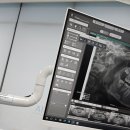 풍무올치과의원 이미지