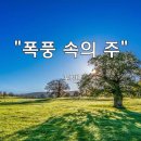 ＜240616＞ &#34;폭풍 속의 주&#34; / 포맨 이미지