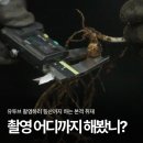 국립산림과학원 유튜브 영상제작