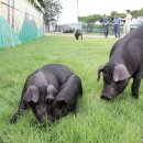 축진농장 이미지