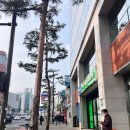 맥인쇄소 | 반칼 완칼 스티커, 엽서 인쇄, 제본, 아크릴, 전단지 등 소량 제작도 가능한 '스카이맥' 인쇄소 후기