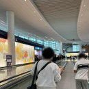 나나리고속관광㈜ | 태국여행 1편! 치앙마이 3월은 괜찮을까?(미세먼지, 화전, 항공편, 유심 등 이모저모 꿀팁)