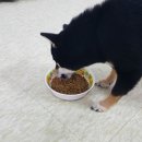순이PC 이미지