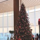 경주 키즈&가족호텔 | 경주 라한셀렉트 호텔 가족여행 후기｜아이랑 가기 좋은 룸컨디션·수영장·키즈존까지