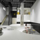 반값애견 이미지