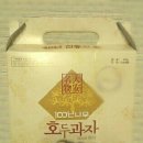 백년나무
