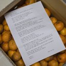 송학마을 | 정원' 제주도 🍊귤 / 농라카페 '송학농원' 🍎엔부사과(피치애플) 후기 ( + '유가원' 🥜유기농 땅콩버터...