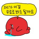 몽실 애견미용 이미지