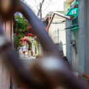 장미마을 이미지