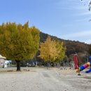 지례초부항분교장 이미지