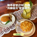 카페송키 | 제주공항 근처카페 추천 '카페송키' 방문후기