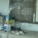 금선미용실