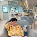 고양이라서 행복해 | 광명고양이카페호텔 29개월 아기와 3번방문후기 (고양이라서행복해)