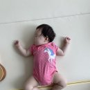 나비잠 이미지