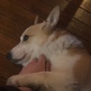 cocos(코코스) | 성신여대술집 추천 코코스 성신여대점