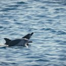 인어펜션 이미지