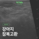 비바동물병원 이미지