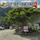 [경남 거창] 거창 계곡 캠핑장 추천, 아이들과 가기 좋은 주은캠핑장 후기