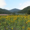 평촌명품마을 이미지