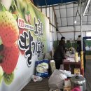 노루메농장 이미지