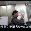 완주경매장