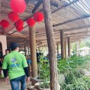 구렁농장 | 베트남 나트랑 3박 5일 판랑 사막 모닝 투어 1+1 리얼 후기 (긴글 주의)