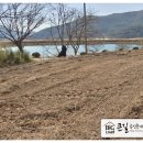 바른정공인중개사사무소 이미지