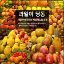 덤앤박스 이미지