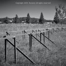 신소양체육공원 이미지