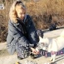 남원댁 이미지