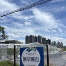 천안블루베리체험 아이와 함께 다녀온 직산블루베리농장 아람베리농장 후기