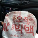 산골견과