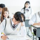 골목당 이미지