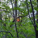 황점주차장 이미지