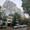 압구정-205 이미지