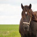 영남신학대학교 이미지
