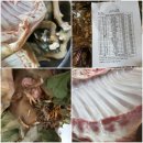 가평흑염소농장 이미지