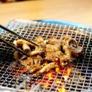 원조산호아나고곰장어 이미지