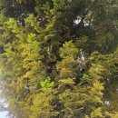 목상근린공원 이미지