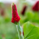 성수문량길 이미지