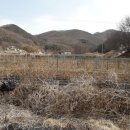 별밭식당 이미지