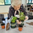 탄벌동-12 이미지