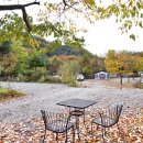 들꽃여울캠핑장 이미지